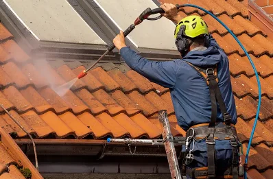 Démoussage et hydrofuge de toiture à Geloux